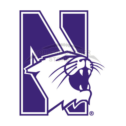 Personal Northwestern Wildcats Iron-on Transfers (Wall Stickers)NO.5703